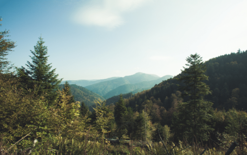 Nordschwarzwald – Naturjuwel mit Geschichte und Kontroversen